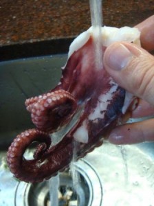 Rinsing the par cooked octopus segments