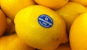 Abbotsleigh lemons
