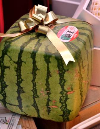 Ab image of a square melon