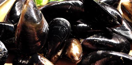 A close up image of Boston Bay black mussels