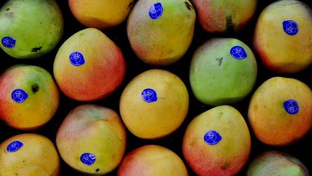 Mangoes are of the top 5 super foods for kids