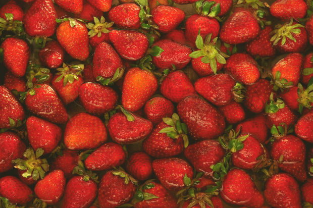Fresh strawberries for jam floating in water