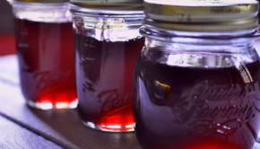 lillypilly jelly in jars in a row
