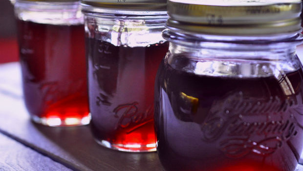lillypilly jelly in jars in a row