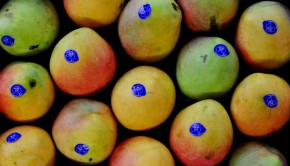 Mangoes are of the top 5 super foods for kids